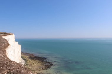 Okyanusun yanındaki büyük beyaz kayalar, mavi gökyüzü ve yeşil çayırlar.