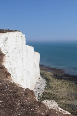 Okyanusun yanındaki büyük beyaz kayalar, mavi gökyüzü ve yeşil çayırlar.