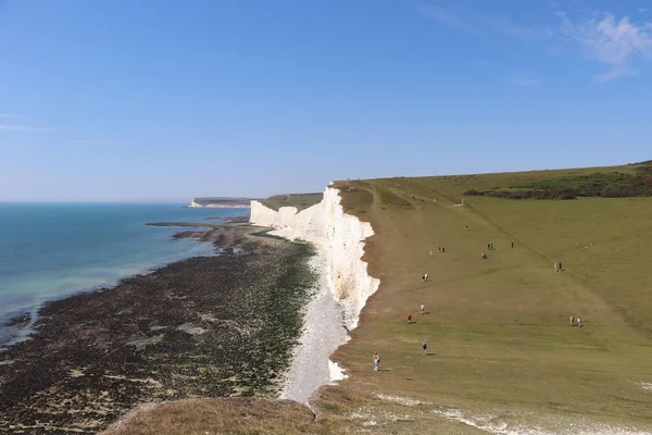 Okyanusun yanındaki büyük beyaz kayalar, mavi gökyüzü ve yeşil çayırlar.