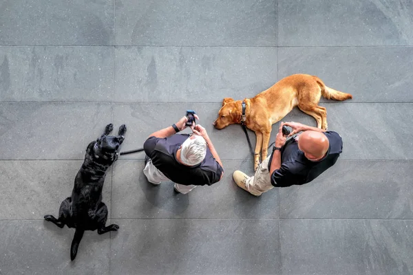 abstakt image of security guard with a dog in the lobby of a modern business center