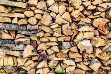 odun ların ağaç kesimi ve depolanması
