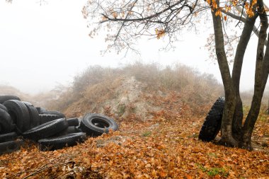 araba lastiği ekolojisi