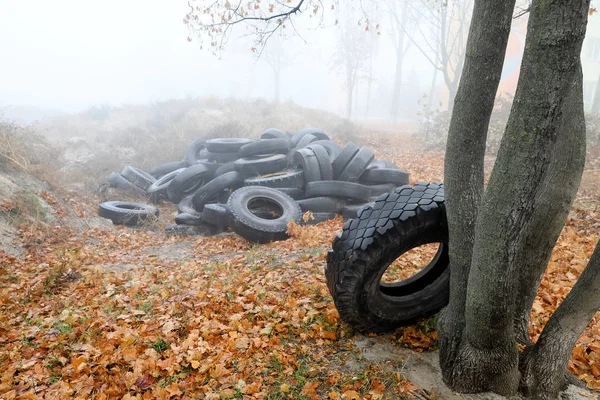 Écologie des pneus de voiture — Photo