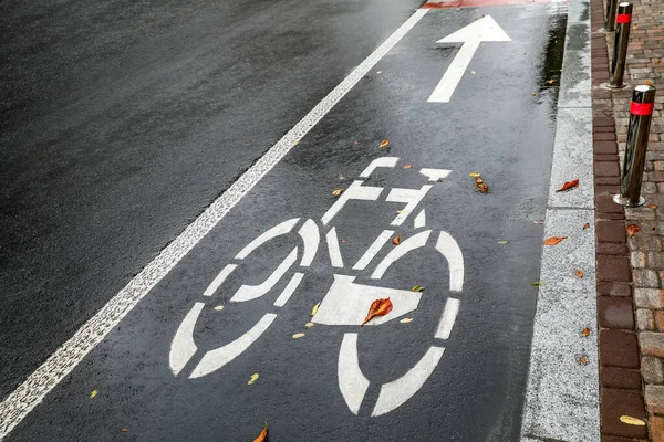 Markerade Och Utrustade Cykel Och Rullskridskor Separat Linje För Sport — Stockfoto