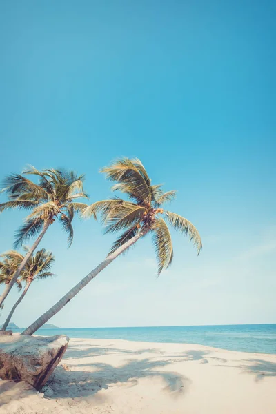 Vintage Přírodní Pozadí Krajina Kokosu Palmou Tropické Pláži Létě Letní — Stock fotografie