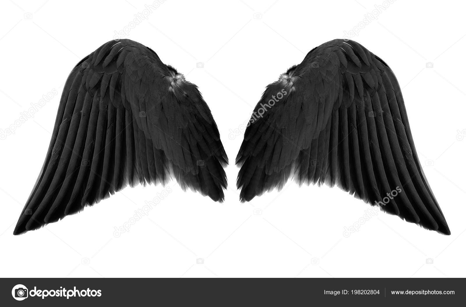 Schwarze Engelsflügel Isoliert Auf Weißem Hintergrund - Stockfotografie:  lizenzfreie Fotos © jakkapan 198202804
