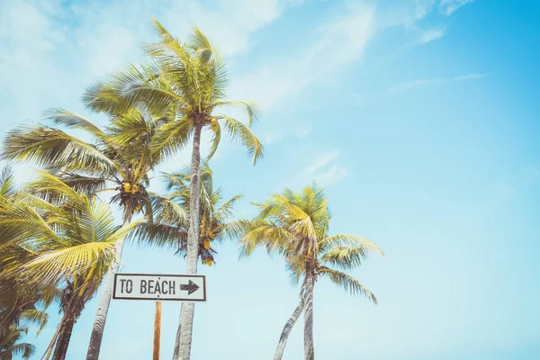 Paisagem Coqueiro Praia Tropical Verão Sinal Praia Para Área Surf — Fotografia de Stock