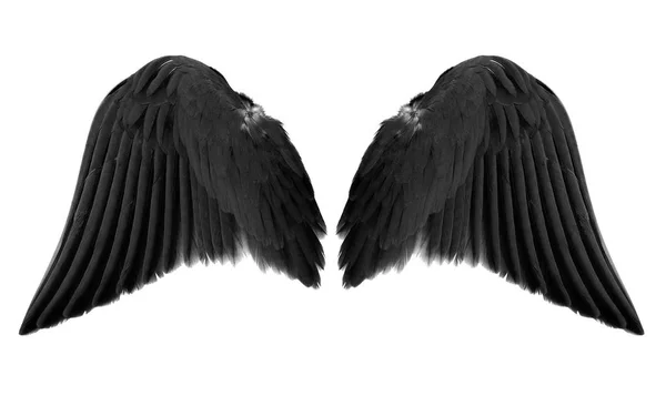 Black Angel Wings Isolated White Background — Stock Photo, Image