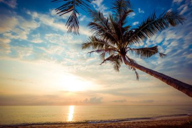 Güzel tropikal Beach gündoğumu, palmiye ağacı ile deniz manzarası. deniz görünümü plaj yaz arka planda.