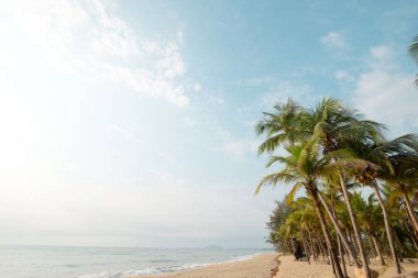 Vintage doğa arka plan - peyzaj tropikal plaj yaz aylarında Hindistan cevizi hurma ağacının. Yaz arka plan kavramı. Retro instagram filtre efekti