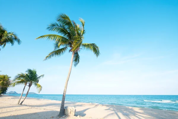 Wunderschöne Landschaft Mit Kokospalmen Tropischen Strand Meereslandschaft Sommer Sommerliches Hintergrundkonzept — Stockfoto