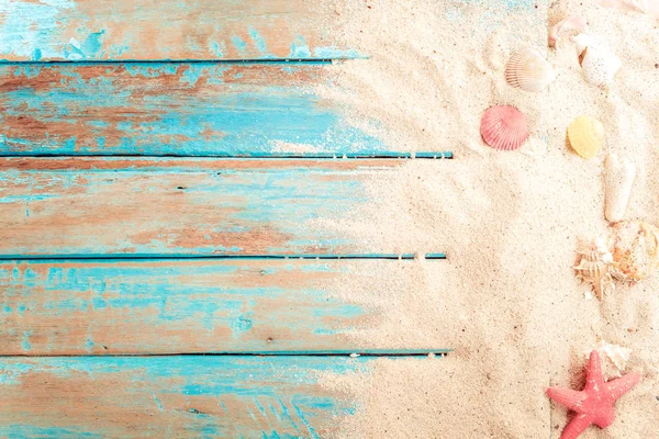 Пляжний Фон Вид Зверху Пляжний Пісок Мушлями Морська Зірка Дерев — стокове фото