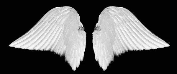 White Angel Wings Isolated Black Background — Stock Photo, Image