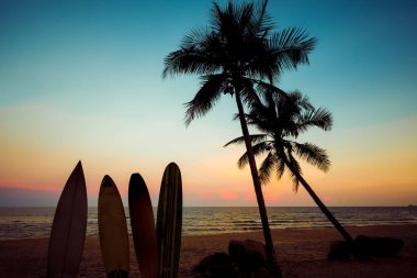 Yaz aylarında gün batımında tropik sahilde siluet sörf tahtası. Gün batımında yaz plaj ve palmiye ağacının deniz manzarası. Vintage renk tonu