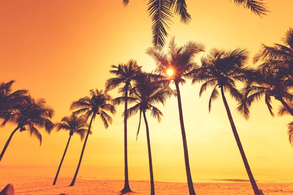 Gün batımı alacakaranlık sırasında tropikal plaj silüeti. gün batımında yaz plaj ve palmiye ağacının deniz manzarası. Vintage renk tonu