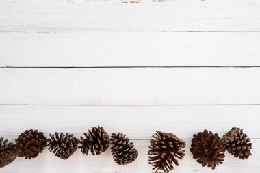 Noel rustik arka plan beyaz ahşap üzerine çam kozalağı ile. en az tarzı, üstten görünüm, sınır.