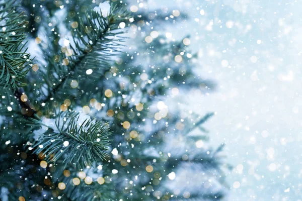 Primer Plano Del Árbol Navidad Con Luz Copo Nieve Navidad — Foto de Stock