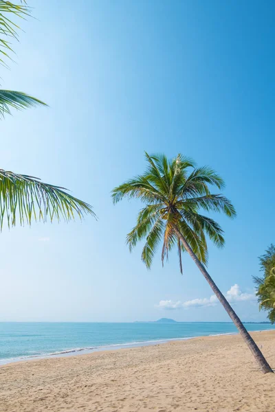 Wunderschöne Landschaft Mit Kokospalmen Tropischen Strand Meereslandschaft Sommer Sommerliches Hintergrundkonzept — Stockfoto