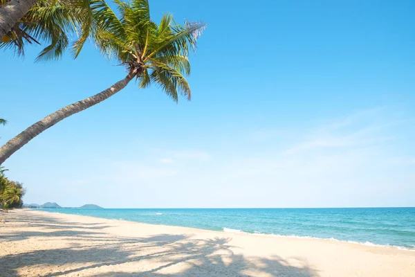 Wunderschöne Landschaft Mit Kokospalmen Tropischen Strand Meereslandschaft Sommer Sommerliches Hintergrundkonzept — Stockfoto