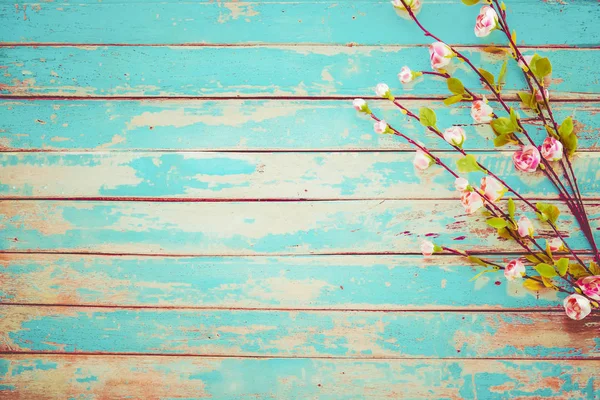 Třešňový Květ Květiny Vinobraní Dřevěné Pozadí Hranice Designu Vintage Barevný — Stock fotografie