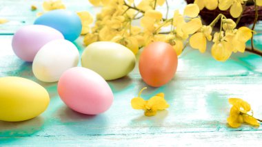 Yuvaya çiçek rustik ahşap plakalar arka plan üzerinde renkli Paskalya yumurtaları. Bahar mevsimi tatil. Vintage pastel renk tonu. Kompozisyon kadar kapatın.