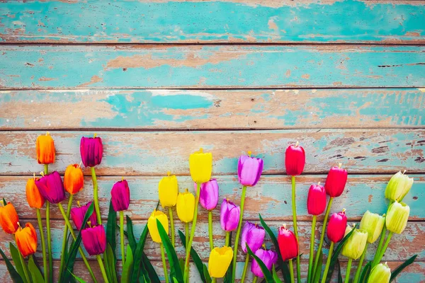 Tulipán Květ Květiny Vinobraní Dřevěné Pozadí Ohraničení Rámečku Designu Vintage — Stock fotografie