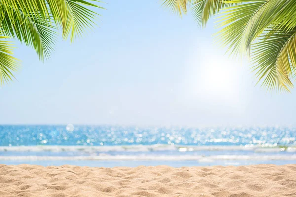 Abstrakte Meereslandschaft Mit Palmen Tropischem Strand Hintergrund Verschwimmen Bokeh Licht — Stockfoto