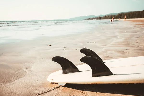 Surfboard Sand Tropical Beach Seascape Calm Sea Sky Background Summer — Stock Photo, Image