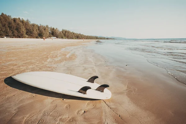 Surfbrett Tropischen Sandstrand Mit Ruhigem Meer Und Himmel Sommerurlaub Hintergrund — Stockfoto