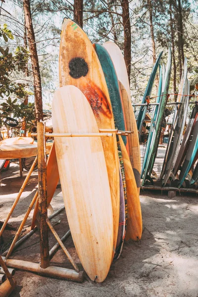 Set Aus Verschiedenen Bunten Surfbrettern Einem Stapel Der Strand Gemietet — Stockfoto