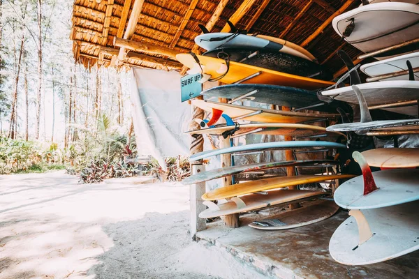 Set Aus Verschiedenen Bunten Surfbrettern Einem Stapel Der Strand Gemietet — Stockfoto