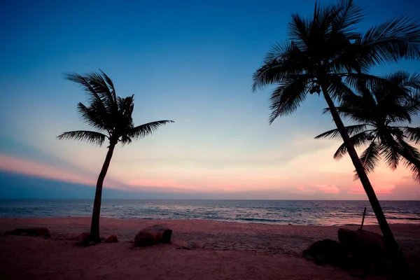 Silhouette Plage Tropicale Crépuscule Coucher Soleil Paysage Marin Plage Été — Photo