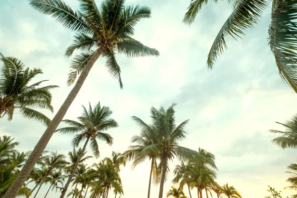 Vintage Doğa Arka Plan Tropikal Plaj Mavi Gökyüzü Sabah Güneş — Stok fotoğraf