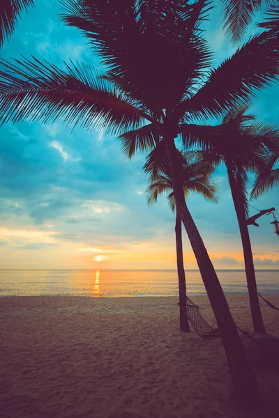 Gün batımı alacakaranlık sırasında tropikal plaj silüeti. gün batımında yaz plaj ve palmiye ağacının deniz manzarası. Vintage renk tonu