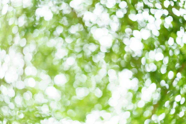 Soyut Yeşil Doğa Arka Plan Bulanık Yeşil Bokeh Doğal Doku — Stok fotoğraf