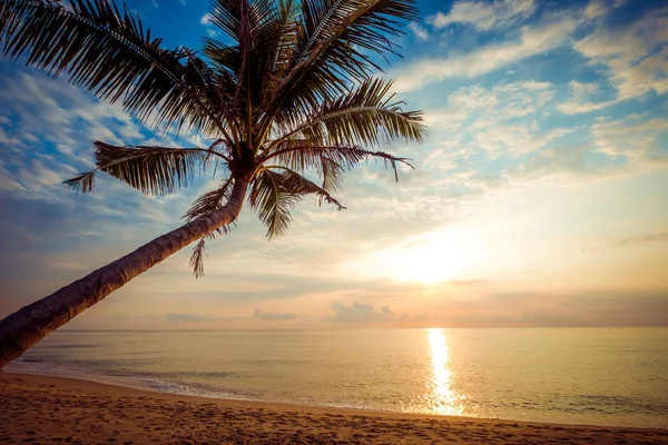 Paysage Marin Une Belle Plage Tropicale Avec Palmier Lever Soleil — Photo