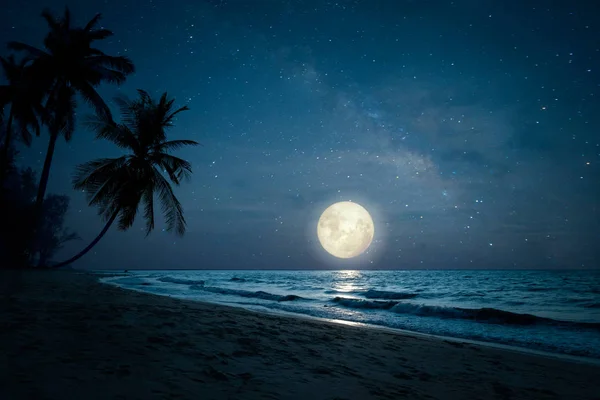 Piękna Fantazja Krajobrazu Tropikalnej Plaży Sylwetką Palmy Nocnym Niebie Pełni — Zdjęcie stockowe