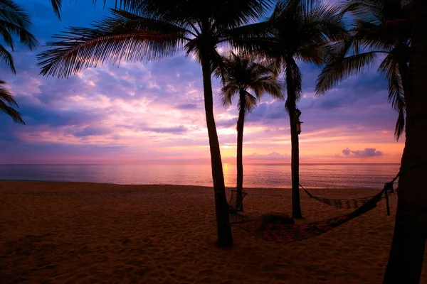 Silhouette Tropical Beach Sunset Twilight Seascape Summer Beach Palm Tree — Stock Photo, Image