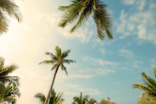 Mavi Gökyüzü Güneş Işığında Yaz Uprisen Açı Ile Tropikal Plajda — Stok fotoğraf