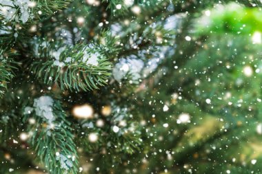 Işıklı Noel ağacına yakın çekim, kar taneciği. Noel ve Yeni Yıl tatili geçmişi. Klasik renk tonu.