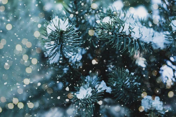Primer Plano Del Árbol Navidad Con Luz Copo Nieve Navidad — Foto de Stock