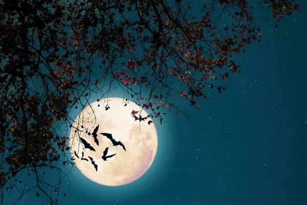 Beautiful Autumn Fantasy Maple Tree Fall Season Full Moon Star — Stock Photo, Image