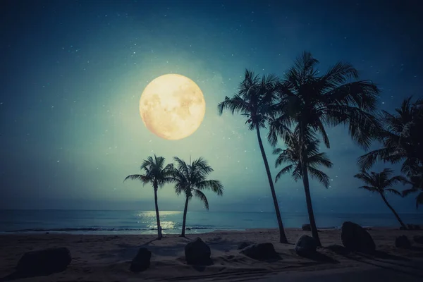 Scène Romantique Nuit Belle Plage Tropicale Fantastique Avec Étoile Pleine — Photo