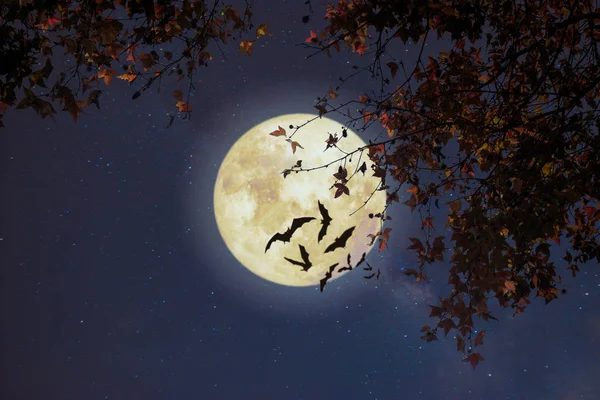 美しい秋のファンタジー 秋の季節のカエデの木と星と満月 ヴィンテージカラー調のレトロなスタイル 夜空の背景コンセプトでハロウィーンと感謝祭 — ストック写真