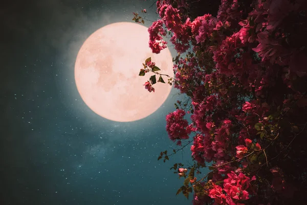 Romantik gece sahnesi - Dolunay ile gece gökyüzünde güzel pembe çiçek çiçeği. - Vintage renk tonu ile Retro tarzı sanat.
