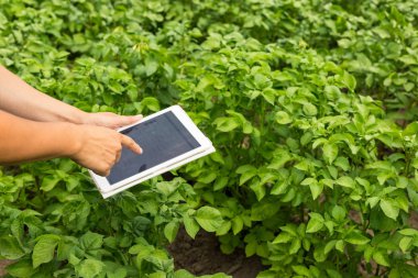 Tarım ve tablet