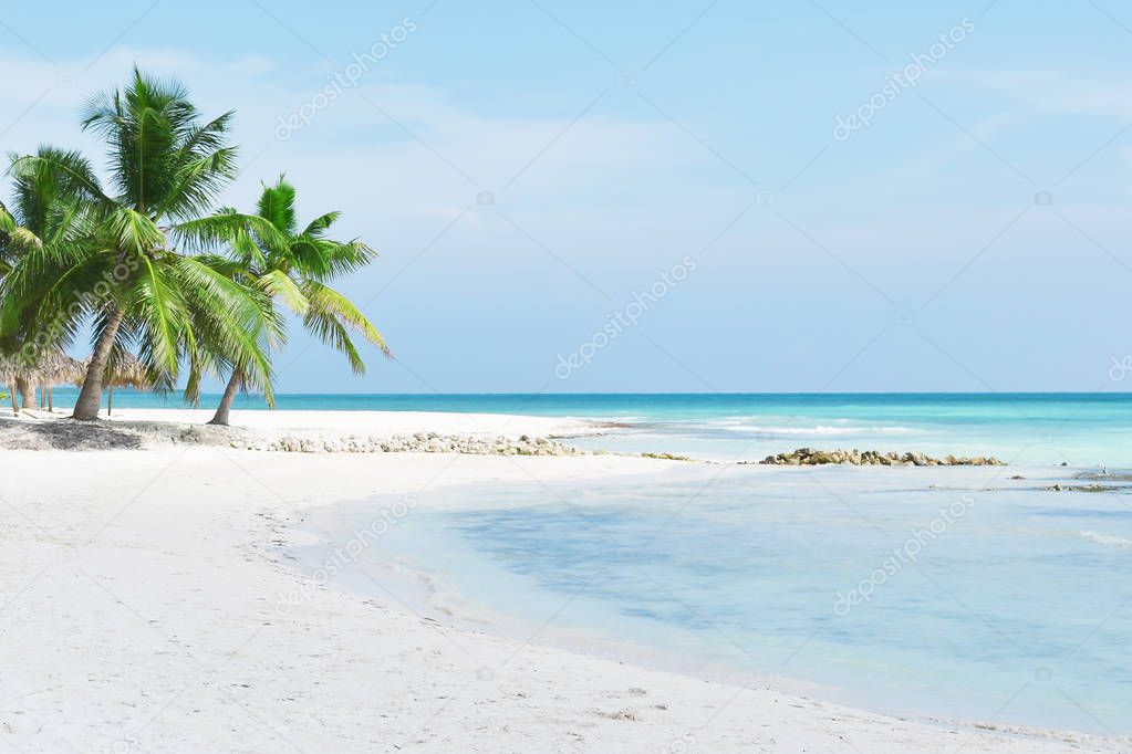 Turquoise sea,tropical beach, palm trees, white sand and palm trees