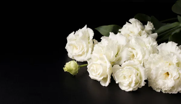 Siyah Arka Planda Beyaz Eustoma Nın Cenaze Çiçekleri Boşluğu Kopyala — Stok fotoğraf