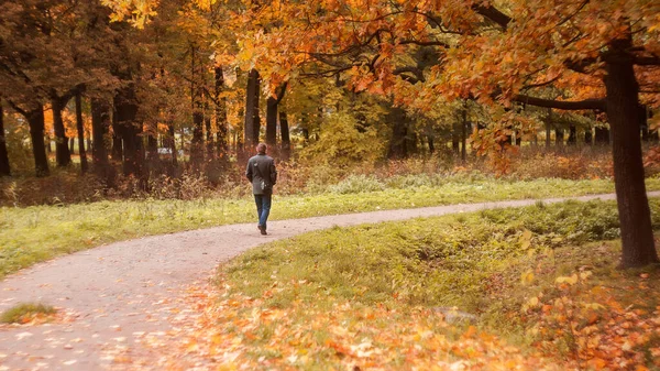 男は秋の公園の道を歩いている。紅葉の美しい風景. ロイヤリティフリーのストック写真