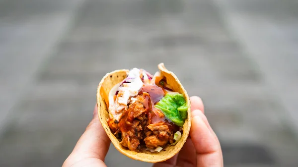 Meksika geleneksel ev yapımı domuz etli, acılı, acılı, domates salatası, avokado soslu ve soslu tako.